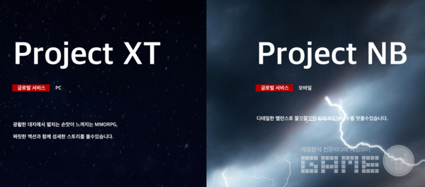 글로벌 시장을 준비하고 있기에, 타 플랫폼에서도 플레이 가능할 계획이다 / 출처 블랙스톰 홈페이지&nbsp;&nbsp;