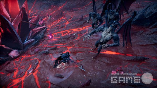 브이라이징 /스턴락 스튜디오