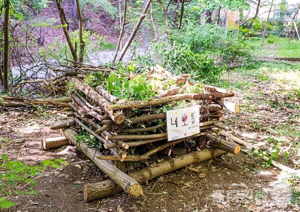 &nbsp;‘세계 환경의 날’ 기념 환경보호 활동 /네오위즈