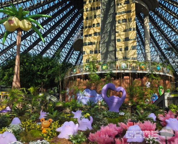 ‘포켓몬 원더 아일랜드&nbsp;in JEJU’&nbsp; /포켓몬코리아