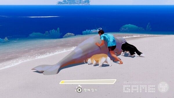 위기에 빠진 동물을 구해주고