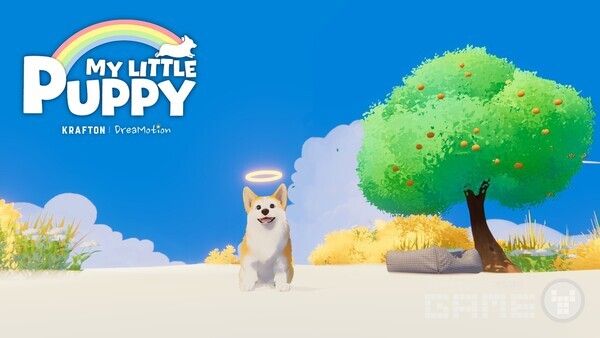 크래프톤의 크리에이티브 스튜디오 드림모션이 신작 ‘마이 리틀 퍼피(My Little Puppy)’의 체험판을 21일 공개했다.