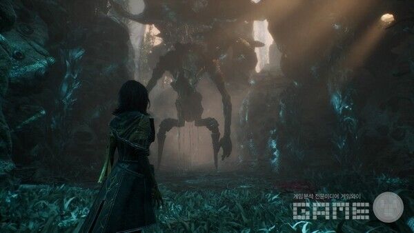 강해 보이는데?