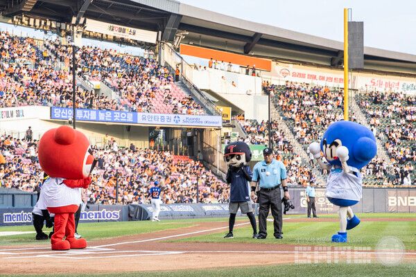 ‘다오’ 시구 & ‘배찌’ 시타