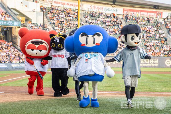 ‘다오’ 시구 & ‘배찌’ 시타