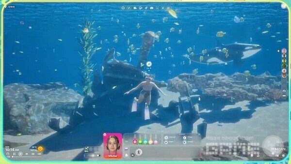 스노쿨링도 하고