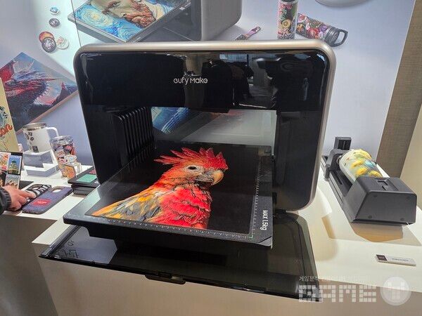 현장에 선보인 다양한 앤커 라인업 /게임와이 촬영