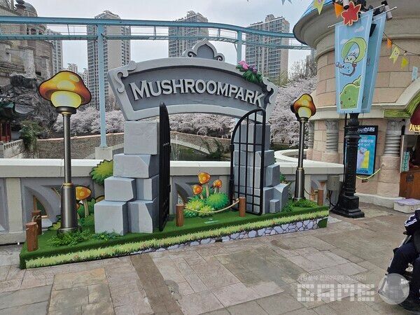 메이플 아일랜드 현장 / 게임와이 촬영