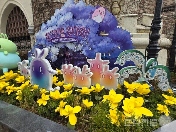 메이플 아일랜드 현장 / 게임와이 촬영