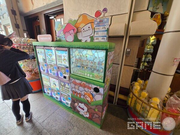 메이플 아일랜드 현장 / 게임와이 촬영