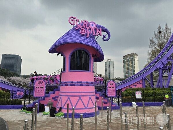 메이플 아일랜드 현장 / 게임와이 촬영