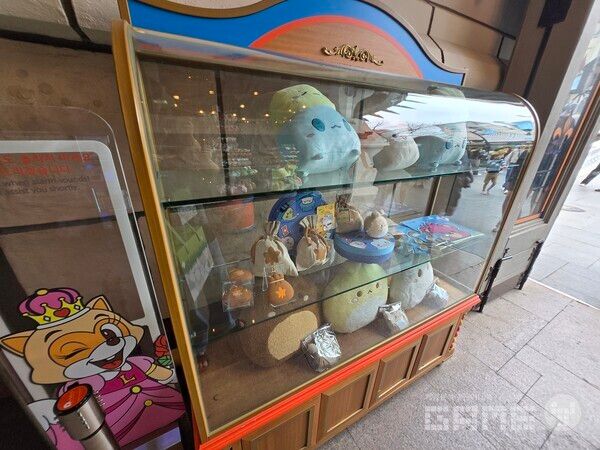 메이플 아일랜드 현장 / 게임와이 촬영