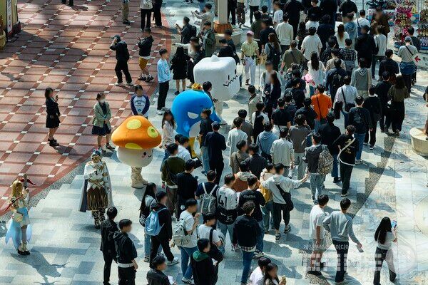 롯데월드 어드벤처를 찾은 이용자