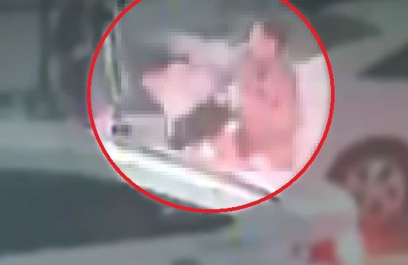 ▲ 수차례 번호를 요구하다 거절 당하자 여성의 얼굴에 주먹을 날린 20대 남성 김모씨. SBS 방송화면 캡처