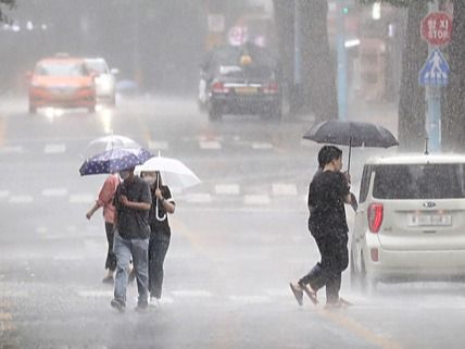 ▲ 서울 종로구 세종문화회관 일대에서 우산을 쓴 시민들이 발걸음을 옮기고 있다. 사진=뉴시스