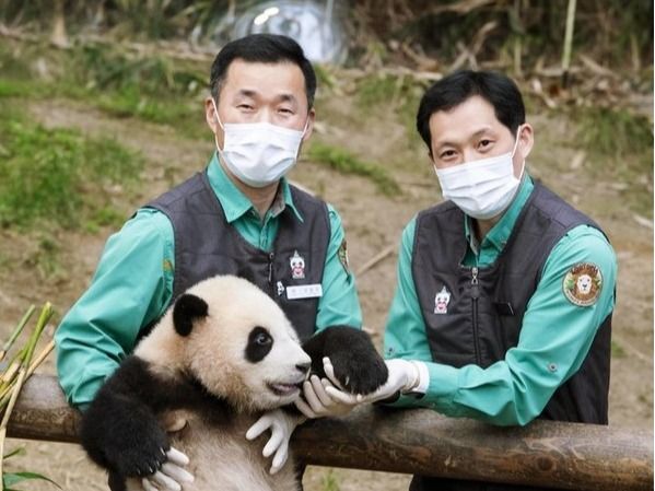 ▲푸바오와 함께 강철원 사육사(사진 왼쪽)과 송영관 사육사. 사진=에버랜드