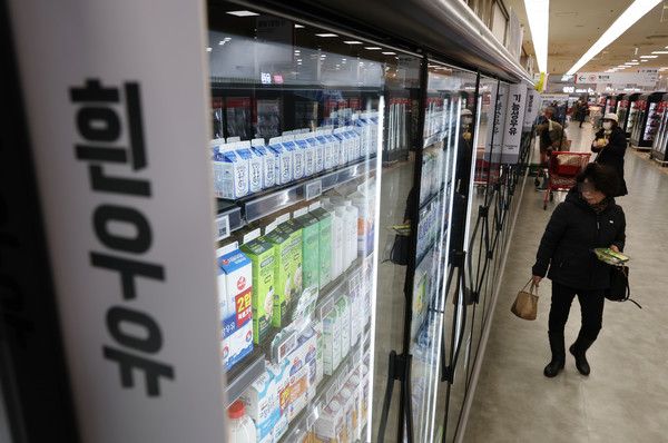 ▲ 6일 통계청에 따르면 지난달 소비자물가 상승률이 3.3%로 전달보다 둔화했지만 3%대 물가가 4개월 연속 이어지면서 장바구니 물가 부담이 여전할 전망이다. 농산물가는 과실, 채소류 상승폭이 높아지면서 전년 동월대비 13.6% 상승했다. 또 우유 등 가공식품 물가 증가세도 강세를 보였다. 외식 물가 상승률도 소폭 높아졌다. 사진은 이날 서울의 한 대형마트에 진열된 우유 등 유제품 모습. 사진=뉴시스