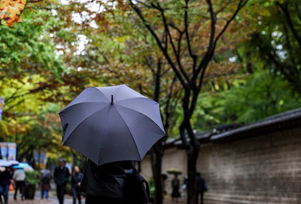 ▲ 비가 내린 지난달 22일 서울 중구 덕수궁 돌담길에서 시민들이 우산을 쓴 채 이동하고 있다. 사진=뉴시스