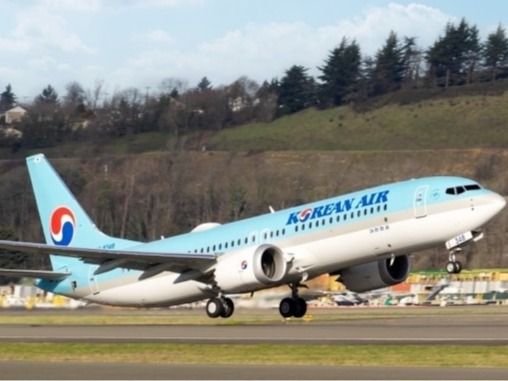 ▲ 대한항공 보잉 787-8 여객기. 사진=대한항공 제공
