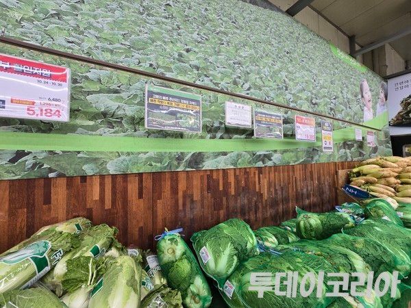 ▲ 서울 시내 한 마트에서 판매되고 있는 배추 모습. 사진=투데이코리아