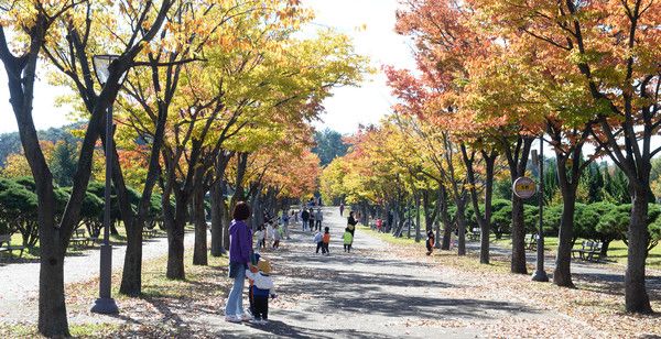 ▲ 기온이 떨어지며 쌀쌀한 날씨를 보인 6일 오전 울산 남구 문수체육공원을 찾은 시민들이 낙엽을 밟으며 가을 정취를 만끽하고 있다. 사진=뉴시스