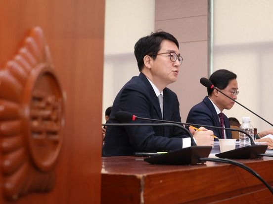 ▲ 심우정 검찰총장이 21일 서울 여의도 국회에서 열린 법제사법위원회의 대검찰청 국정감사에서 박준태 국민의힘 의원 질의에 답하고 있다. 사진=뉴시스