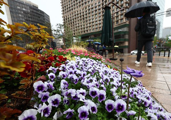 ▲ 비 내리는 15일 서울 중구 세종대로에서 한 시민이 우산을 쓰고 출근하고 있다. 2024.04.15. 사진=뉴시스