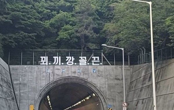 ▲ 부산 번영로의 한 터널 입구 상단에 뜻을 알기 어려운 ‘꾀·끼·깡·꼴·끈’이라는 문구가 설치돼 논란이 일고 있다. 사진=온라인 커뮤니티