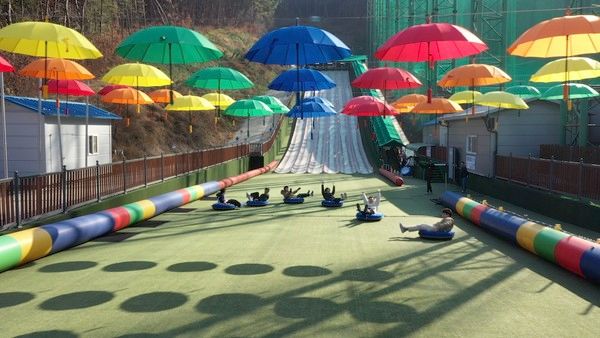 ▲ 단양사계절썰매장에서 시민들이 썰매를 타고 있다. 사진=단양군