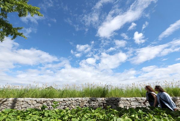 ▲ 서울 종로구 열린송현 녹지광장 옆 길을 시민들이 걷고 있다. 사진=뉴시스