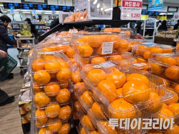 ▲ 경기도 내 한 대형마트에서 판매되고 있는 감귤. 사진=투데이코리아