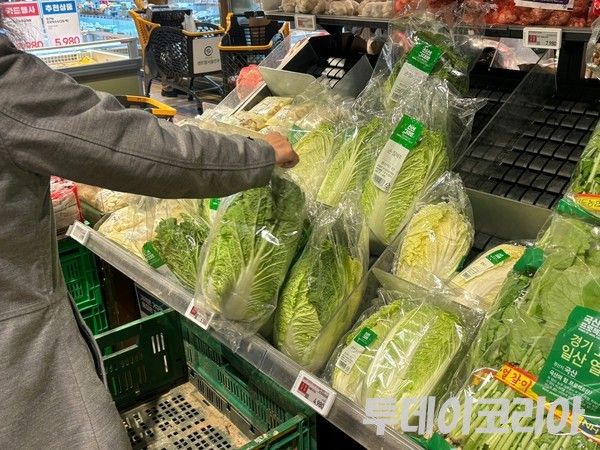 ▲ 서울 소재 한 대형마트에서 판매되고 있는 배추의 모습. 사진=투데이코리아