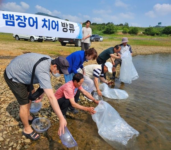 ▲ 충북 청주시 관계자들이 지난 2023년 6월16일 상당구 문의면 대청호에 수산 자원 확대를 위한 뱀장어 치어 3200여 마리를 방류하고 있다. 사진=청주시