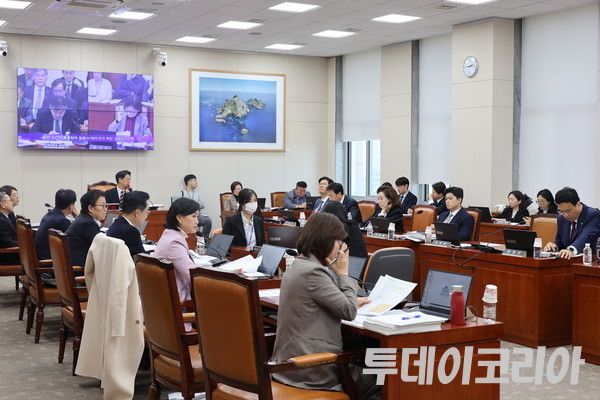 ▲ 지난달 28일 서울 여의도 국회에서 교육위원회 국정감사가 진행되고 있다. 사진=투데이코리아