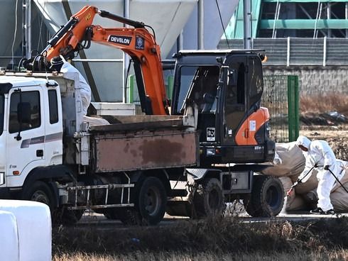 ▲ H5형 조류인플루엔자 항원이 검출된 경기 평택시 한 산란계 농장에서 2일 관계자들이 차량 방역 작업을 하고 있다. 고병원성 조류인플루엔자(AI) 중앙사고수습본부는 경기 평택시 소재 산란계 농장에서 H5형 AI 항원이 확인됐다고 지난 1일 밝혔다. 사진=뉴시스