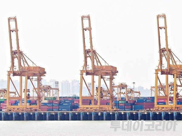 ▲ 인천 연수구 인천신항 컨테이너 터미널에 수출입 컨테이너가 쌓여 있다. 사진=투데이코리아