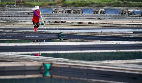▲ 전남 대부분 지역에 비소식이 예보된 20일 오전 전남 신안군 한 염전에서 염부가 염전을 정리하고 있다. 사진=뉴시스