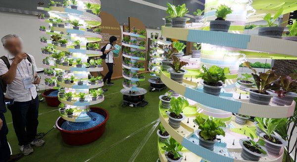 ▲ 2024 대한민국 농업박람회에서 관람객들이 나선타워 스마트팜을 둘러보고 있다. 사진=뉴시스