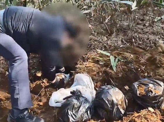 ▲ 제주경찰이 26일 제주도내 한 야산에서 중국인 일당이 숨긴 유골함을 땅을 파내 찾고 있다. 사진=제주동부경찰서