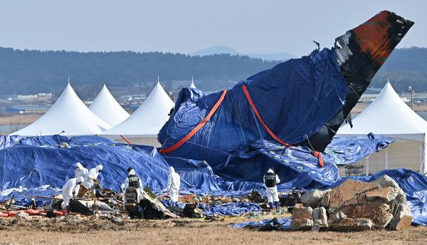 ▲ 국토교통부 항공철도사고조사위원회 소속 감식반이 지난 1월 8일 전남 무안군 무안국제공항 내 제주항공 여객기 참사 현장에서 사고 여객기 잔해물을 수거하고 있다. 사진=뉴시스