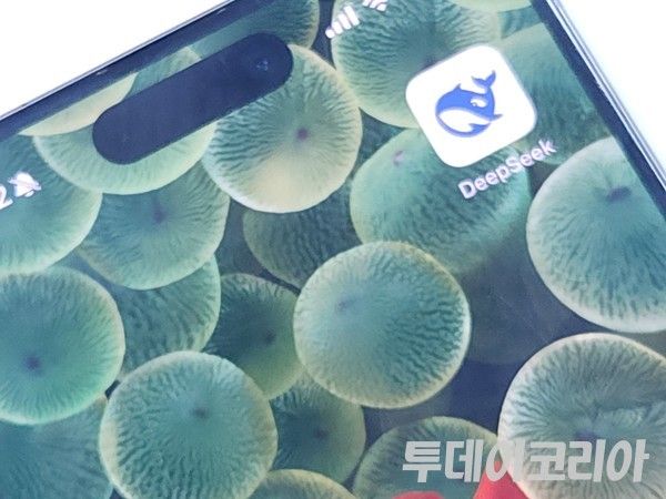 ▲ 스마트폰에 중국 인공지능(AI) 스타트업 딥시크(DeepSeek)의 앱이 보이고 있다. 사진=투데이코리아