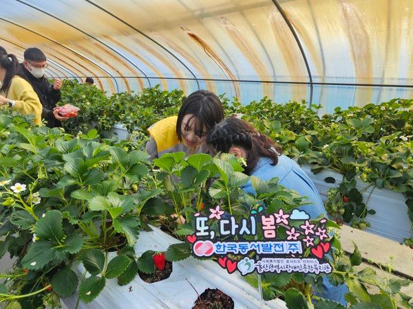 ▲ 사진=동서발전