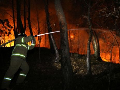 ▲ 4일 경북 울진군 북면 두천리에서 일어난 산불이 강풍을 타고 민가까지 불이 번져 소방관이 진화 작업을 벌이고 있다. 사진=뉴시스.