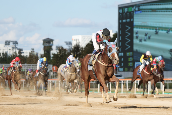 ▲ 렛츠런 파크 서울 경주 모습. 사진=한국마사회