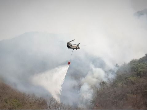 ▲ 육군 치누크 헬기(CH-47)가 경북 의성군 안계면 일대 야산에 발생한 산불을 진화하고 있다. 사진=뉴시스