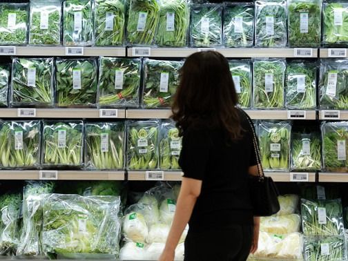 ▲ 서울의 한 대형마트에서 소비자들이 상추 등 잎채소류를 살펴보고 있다. 사진=뉴시스