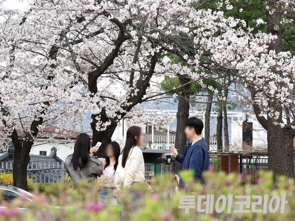 ▲ 9일 서울 시내에서 시민들이 꽃구경을 즐기고 있다. 사진=투데이코리아