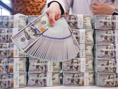 ▲ 서울 중구 하나은행 위변조대응센터에서 직원이 달러를 정리하고 있다. 사진=뉴시스