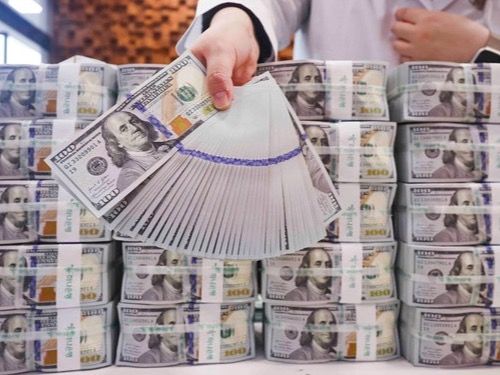 ▲ 서울 중구 하나은행 위변조대응센터에서 직원이 달러를 정리하고 있다. 사진=뉴시스