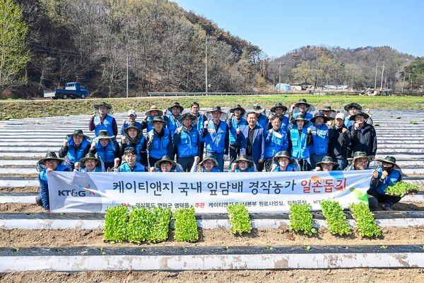 ▲ KT&G가 경북 지역에 발생한 산불로 인해 피해를 본 잎담배 농가를 방문해 일손을 돕는 봉사활동을 진행했다. 사진=KT&G